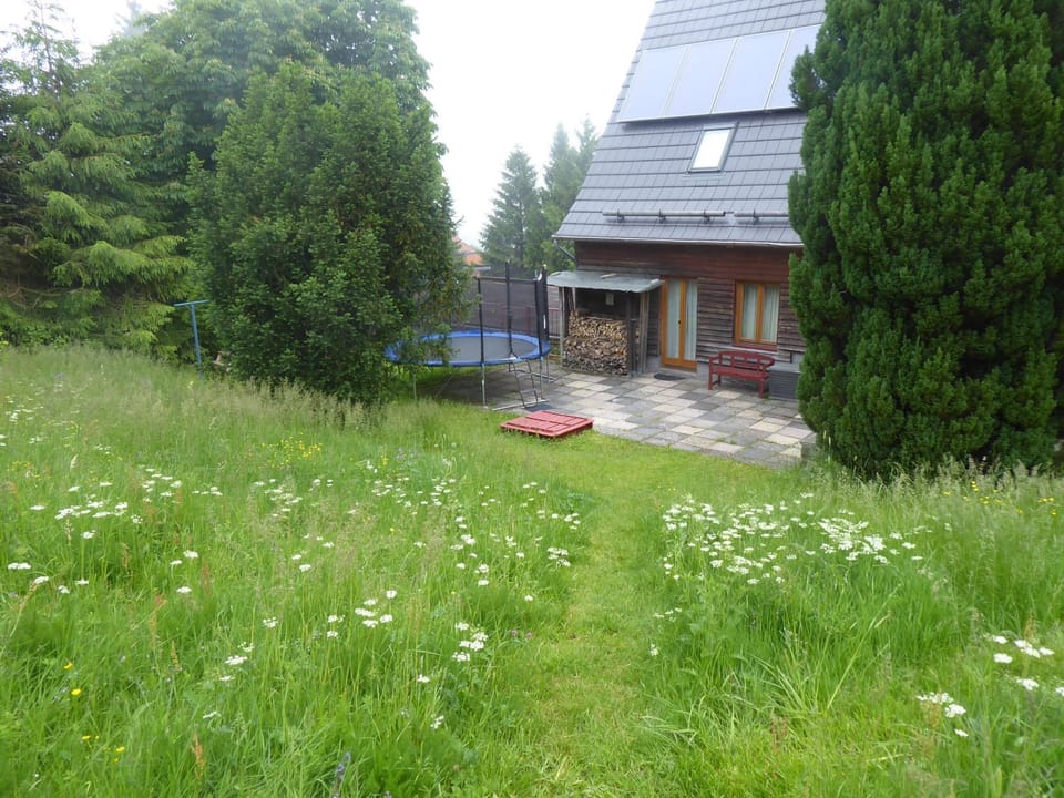 Property building, Day, Summer, Garden, On site