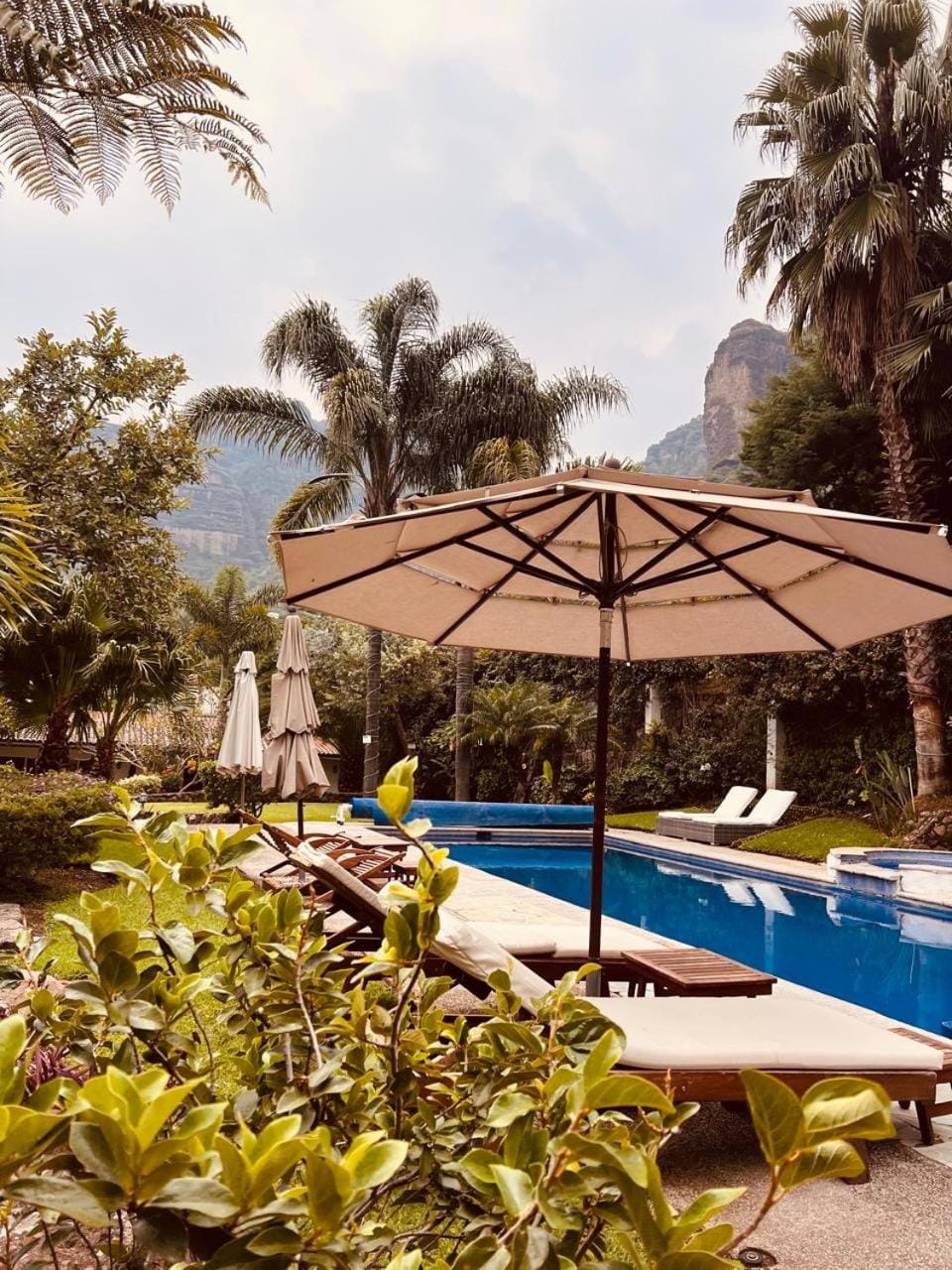 Finca Catalina Hotel Boutique Hotel in Tepoztlan