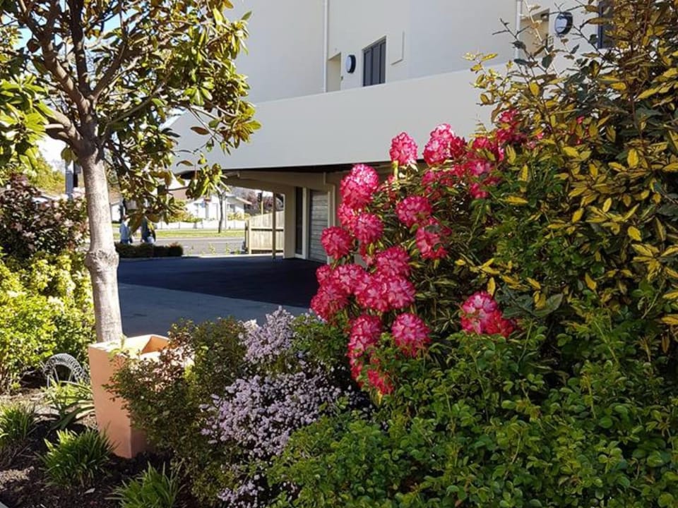 Property building, Garden