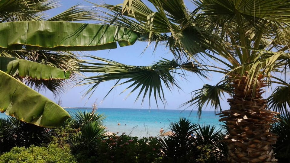 Villa Emiliana Villa in Paralimni
