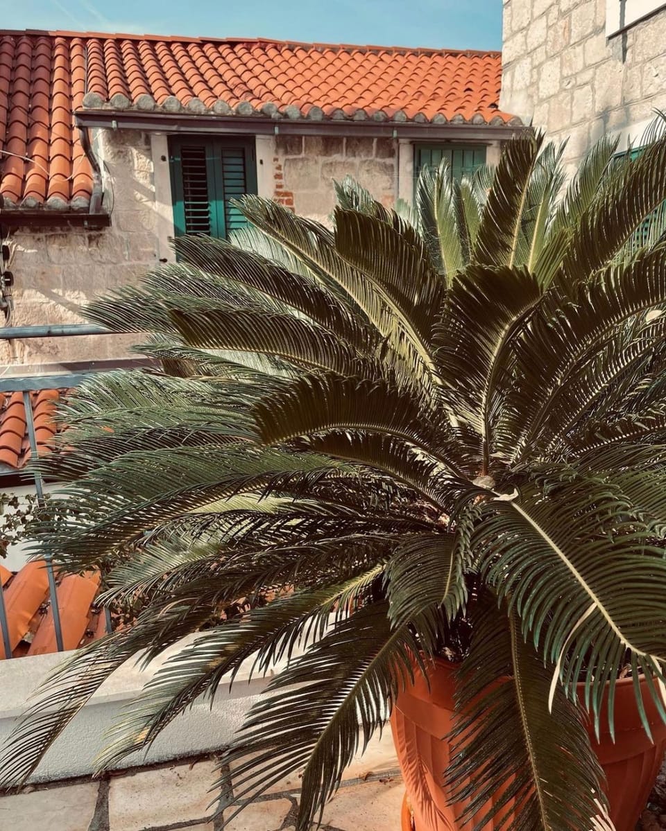 Villa Saint Lucas Apartment in Split