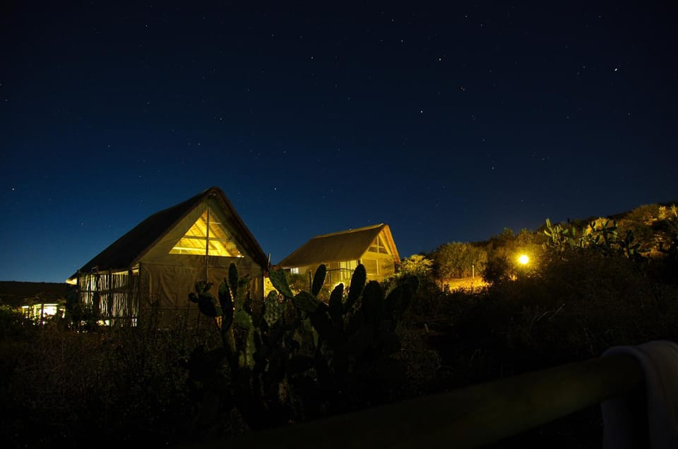 Property building, Night