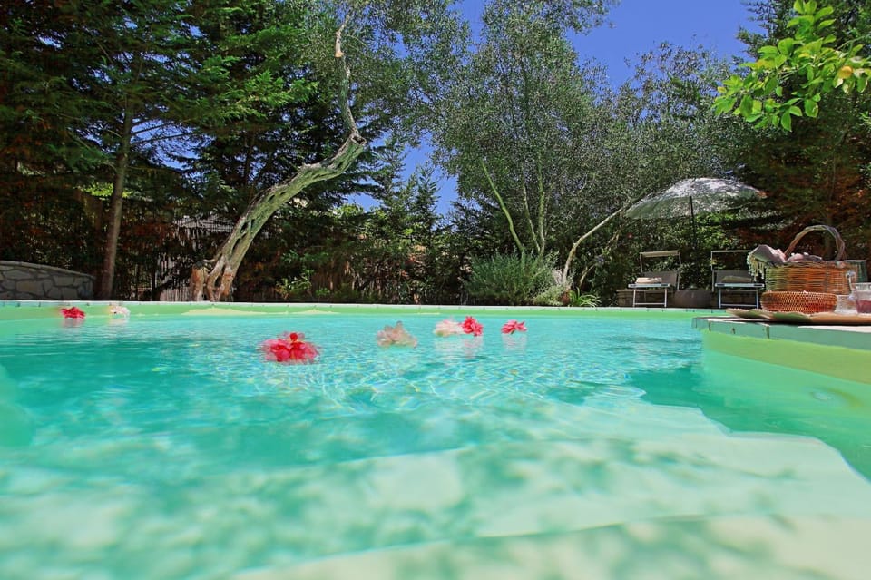 Other, Swimming pool