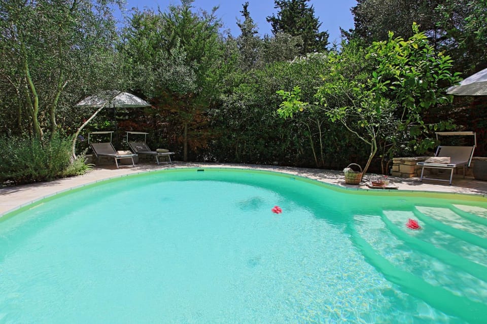 Other, Swimming pool, sunbed