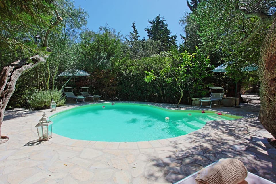 Garden, Other, Swimming pool