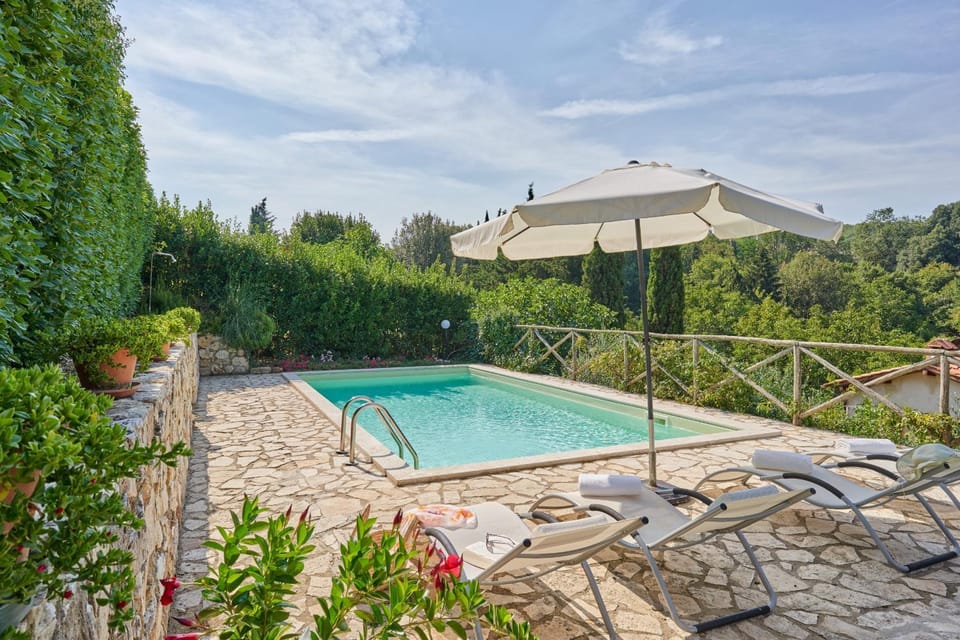 Garden, Swimming pool, Swimming pool