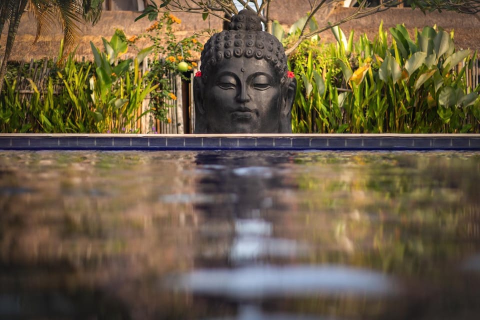 Garden view, Pool view, Swimming pool, Swimming pool