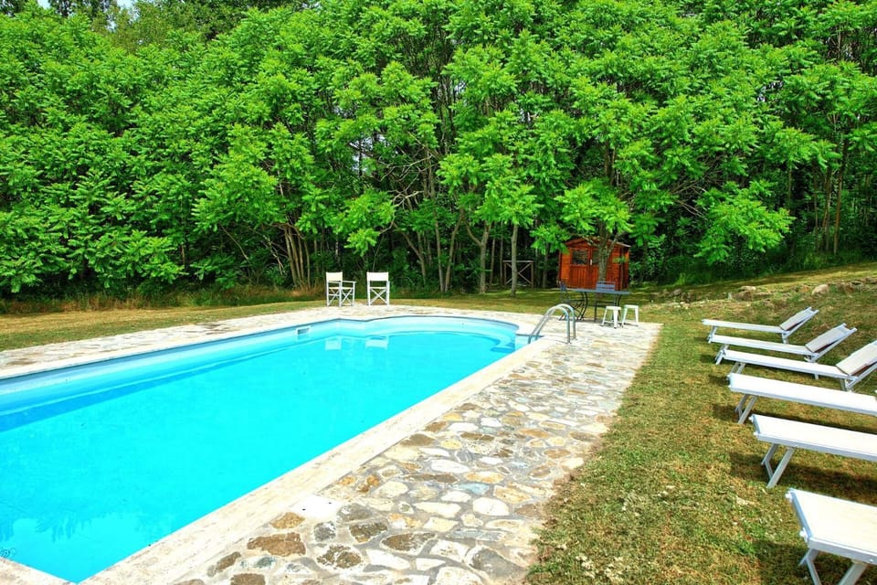 Garden, Garden view, Pool view, Swimming pool, sunbed