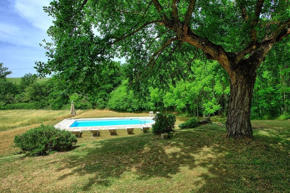 Garden, Garden view, Pool view, Swimming pool