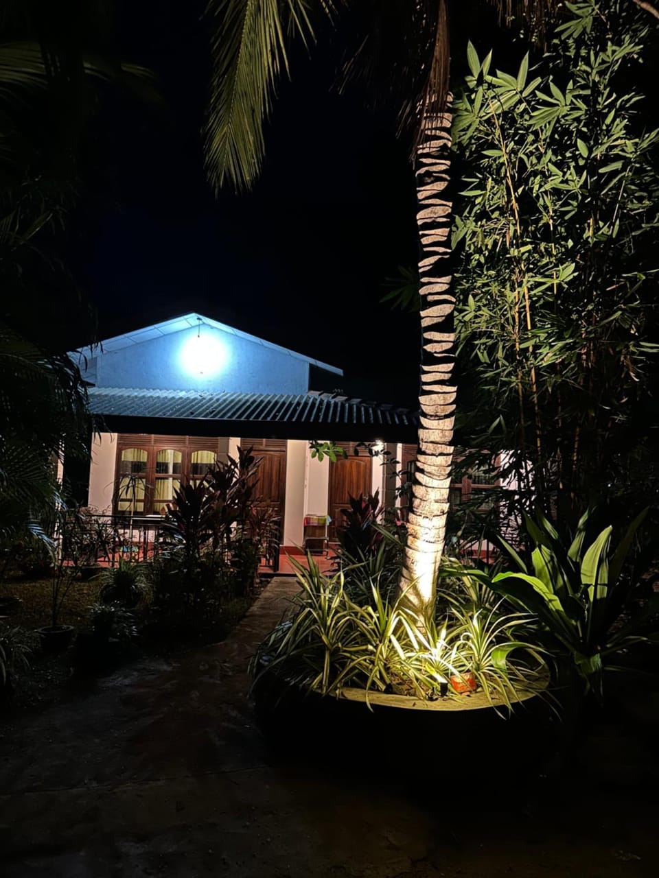 Patio, Garden