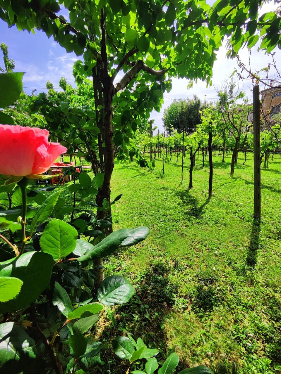 Garda Relais Antica Romelia Bed and Breakfast in Province of Brescia