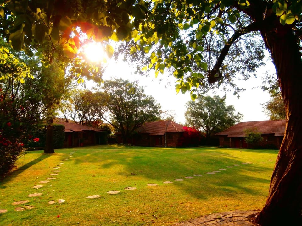 Garden view