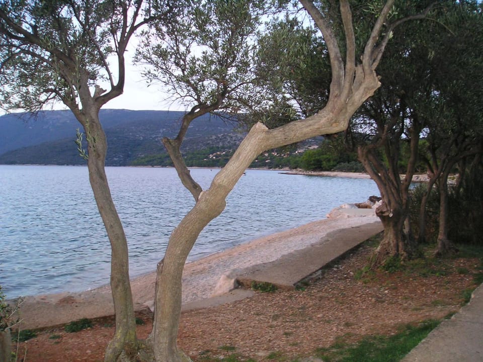 Natural landscape
