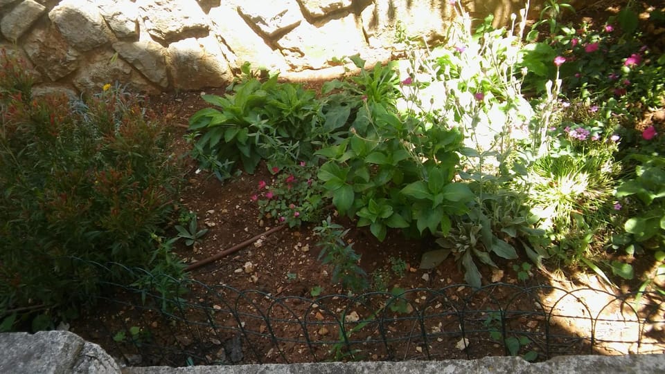 Garden, Garden view