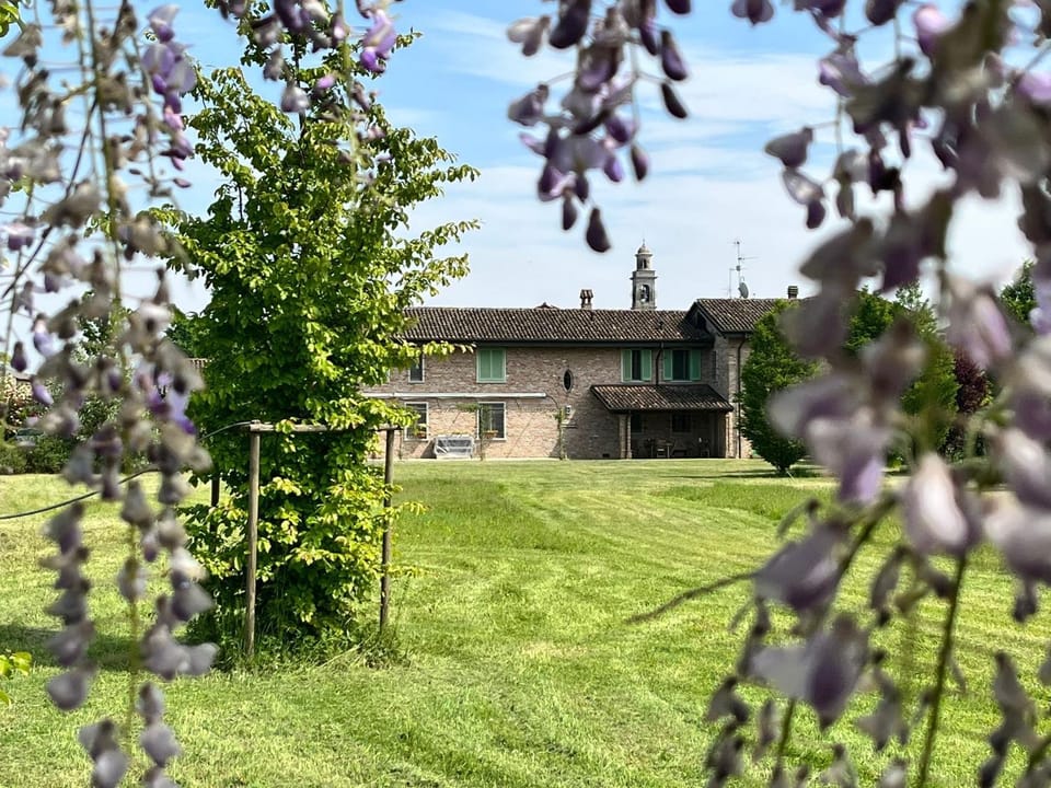 Garden, Garden view