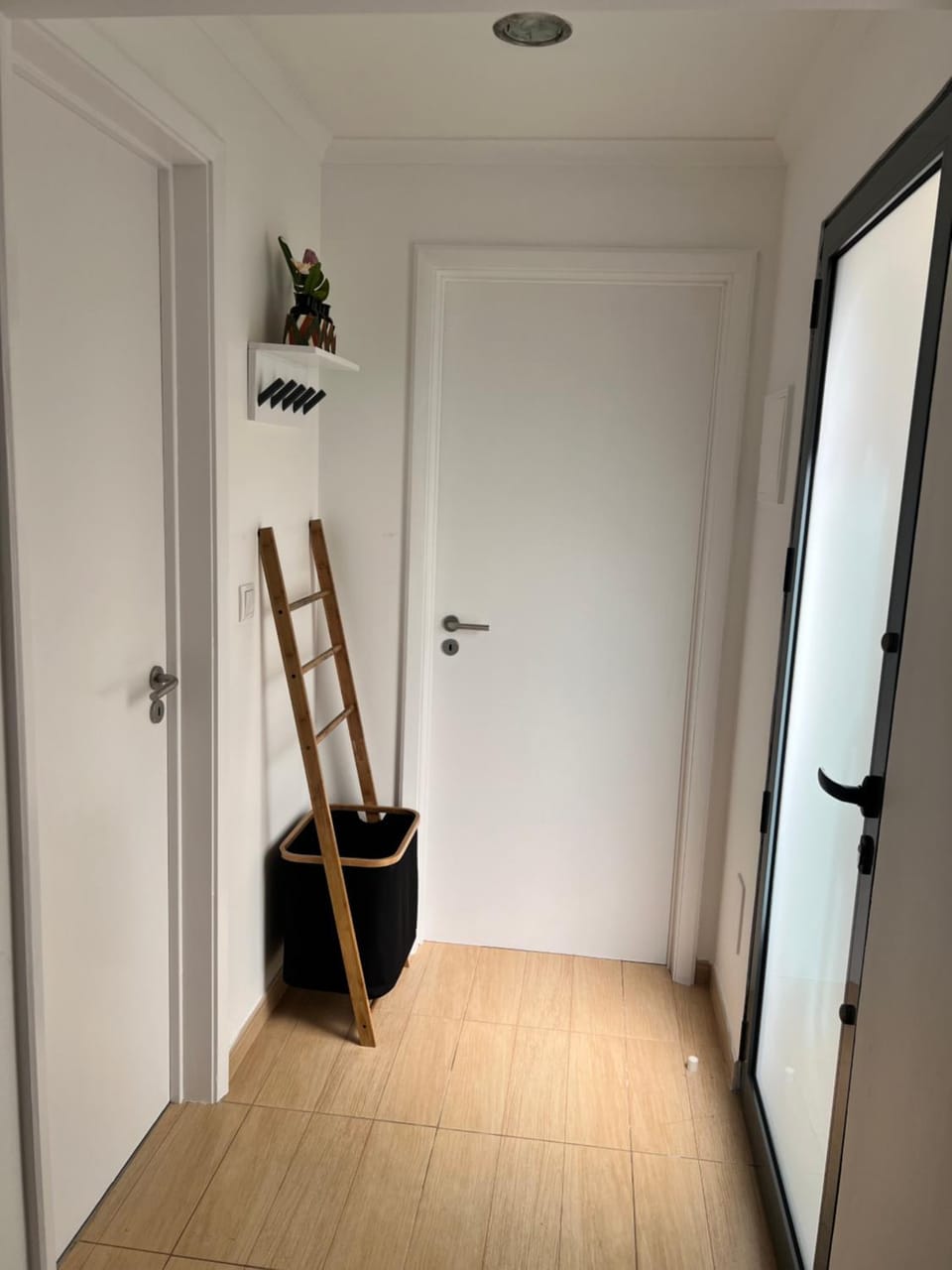 Casa da Cascata do Segredo Apartment in Azores District