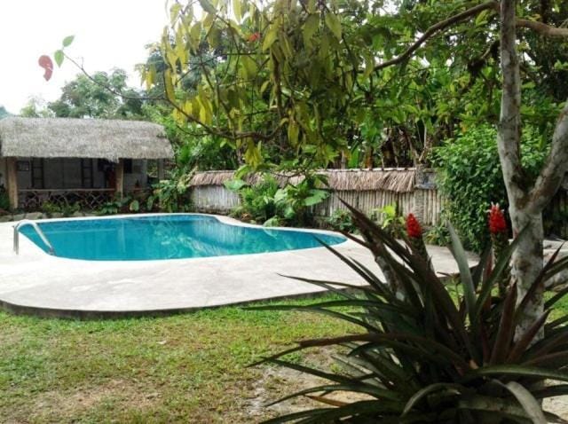Garden, Swimming pool