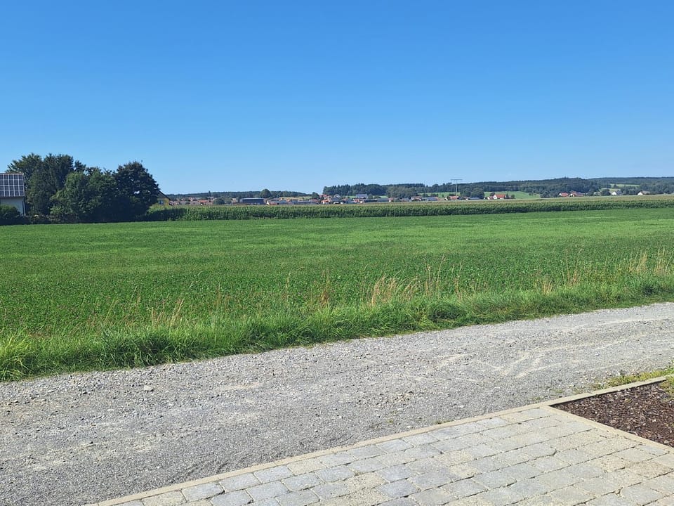 View (from property/room)