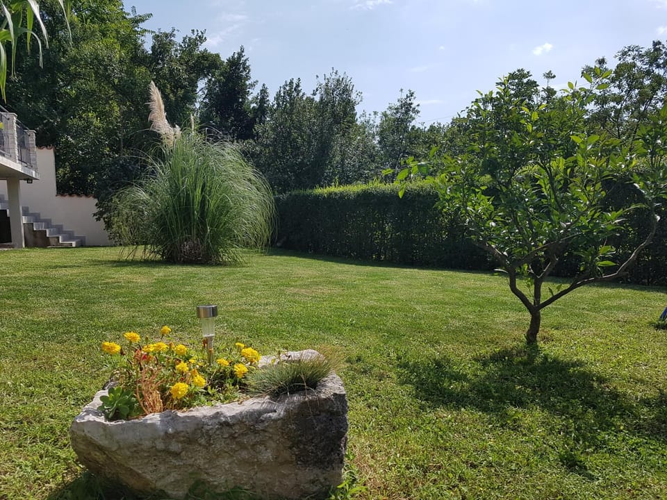 Garden view