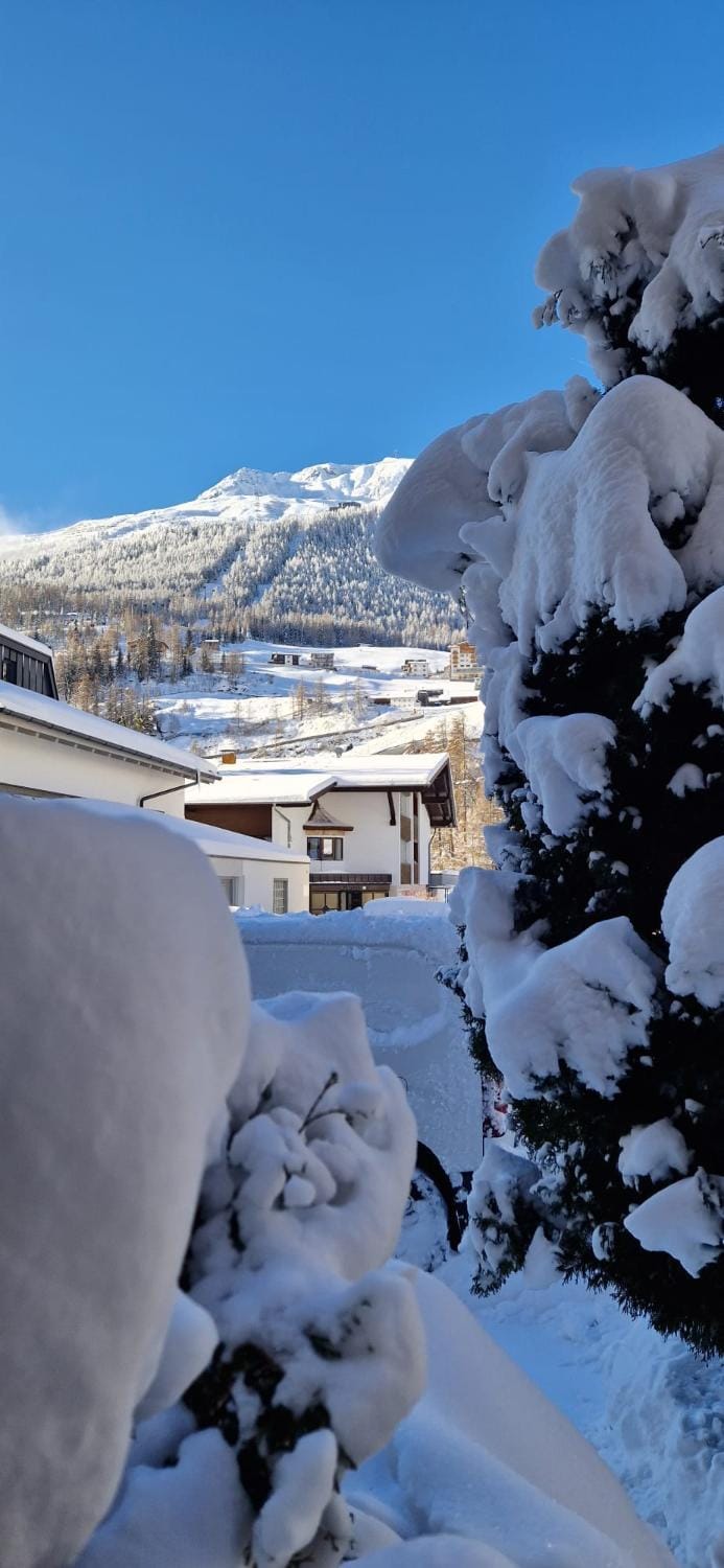 Day, Natural landscape, Winter