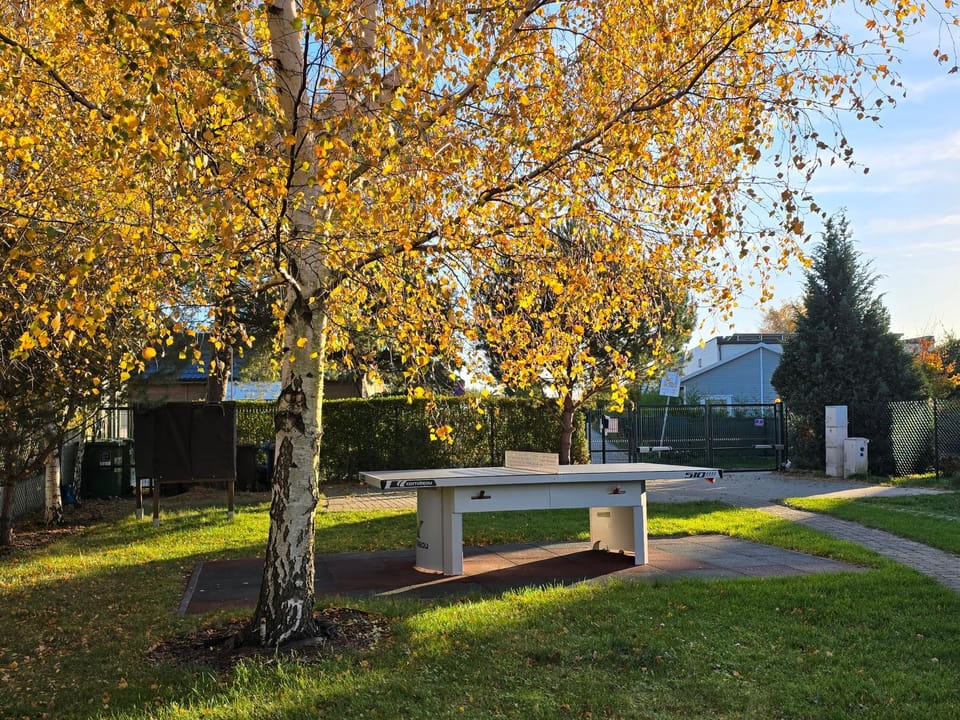 Natural landscape, Garden
