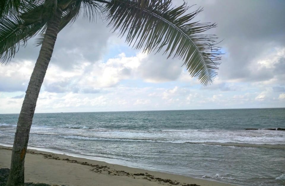 Natural landscape, Beach