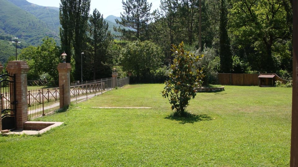Natural landscape, Garden, Mountain view