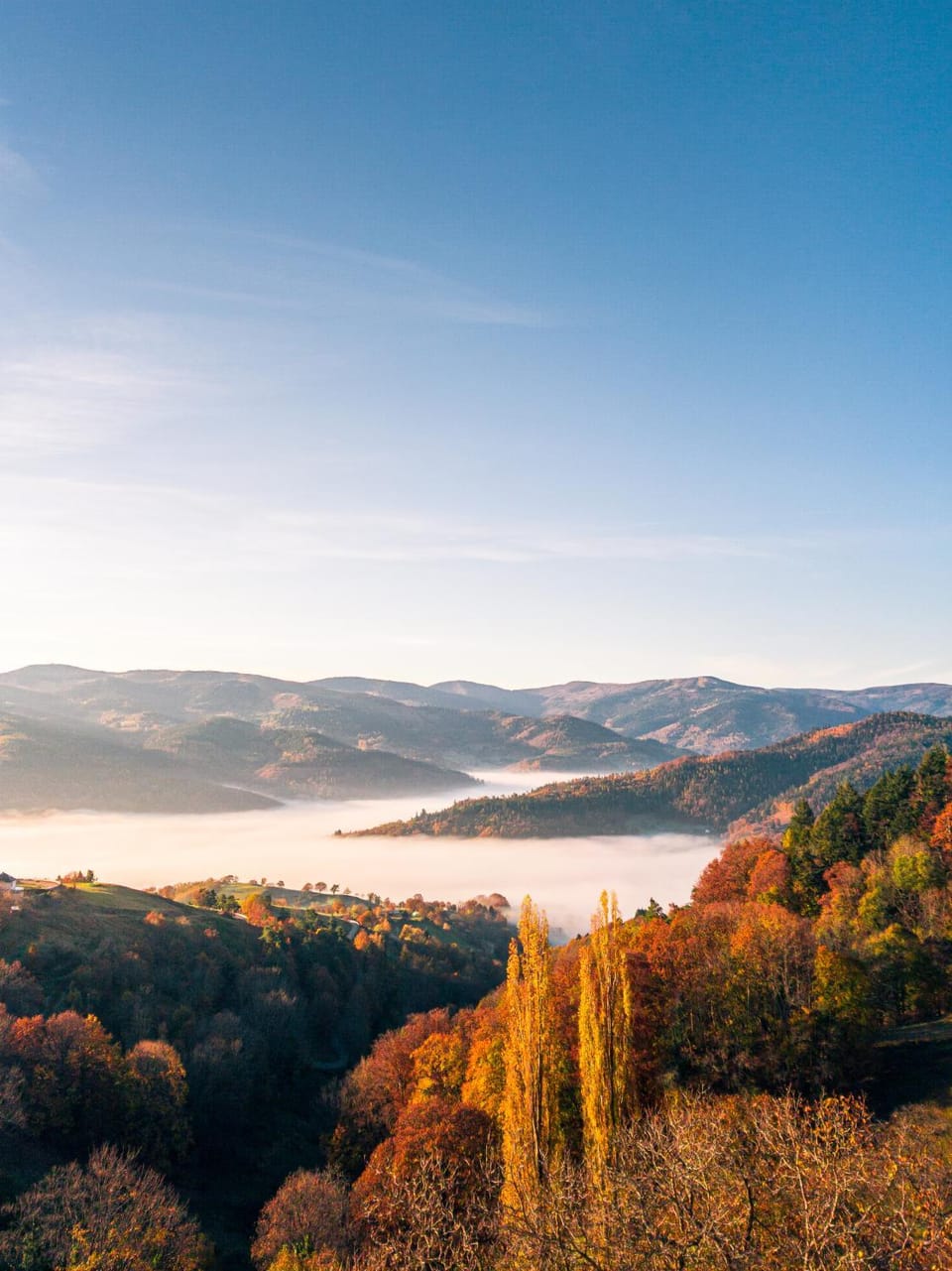 Autumn, Mountain view, Mountain view