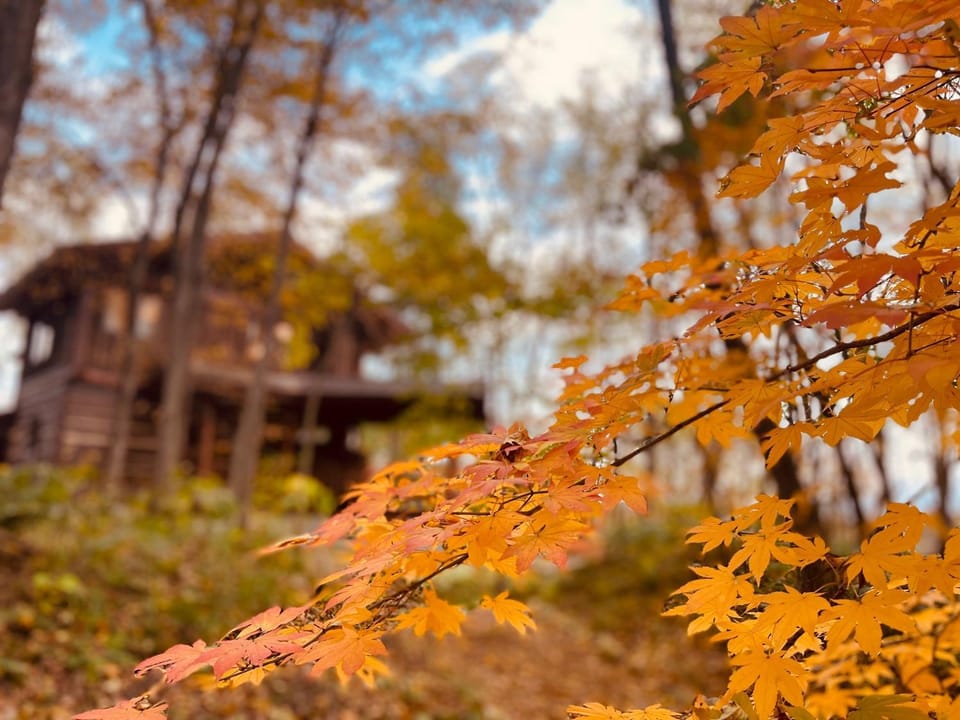 Autumn
