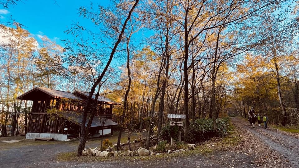 Property building, Facade/entrance, Autumn, Area and facilities
