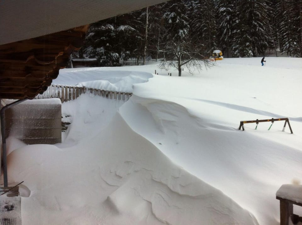 Winter, Garden view