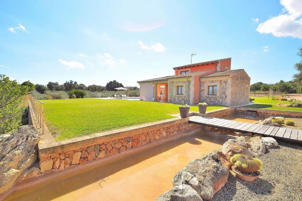 Patio, Garden, Garden view