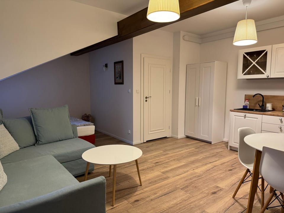 Kitchen or kitchenette, Living room, Photo of the whole room