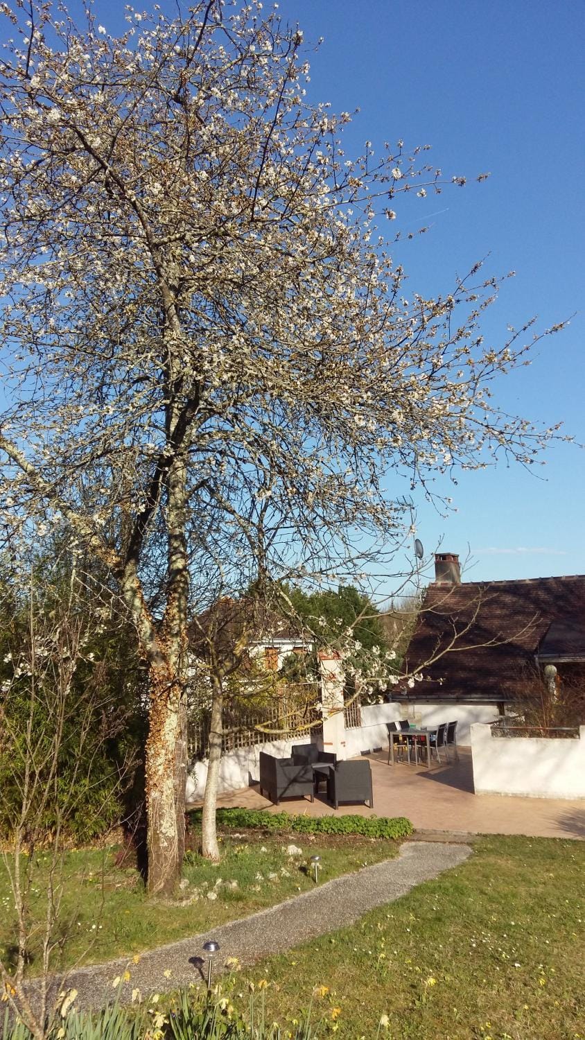 Facade/entrance, Garden view