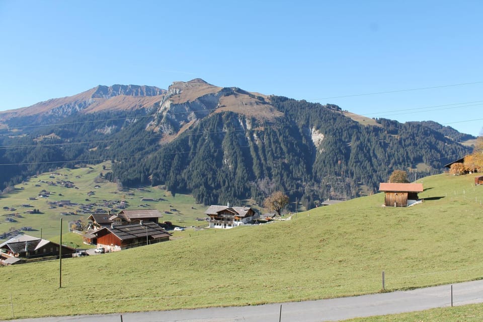 Mountain view