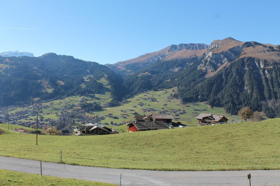 Mountain view