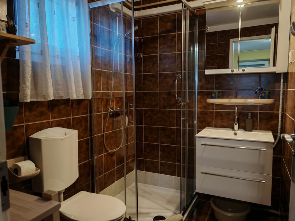 Toilet, Bathroom, Photo of the whole room