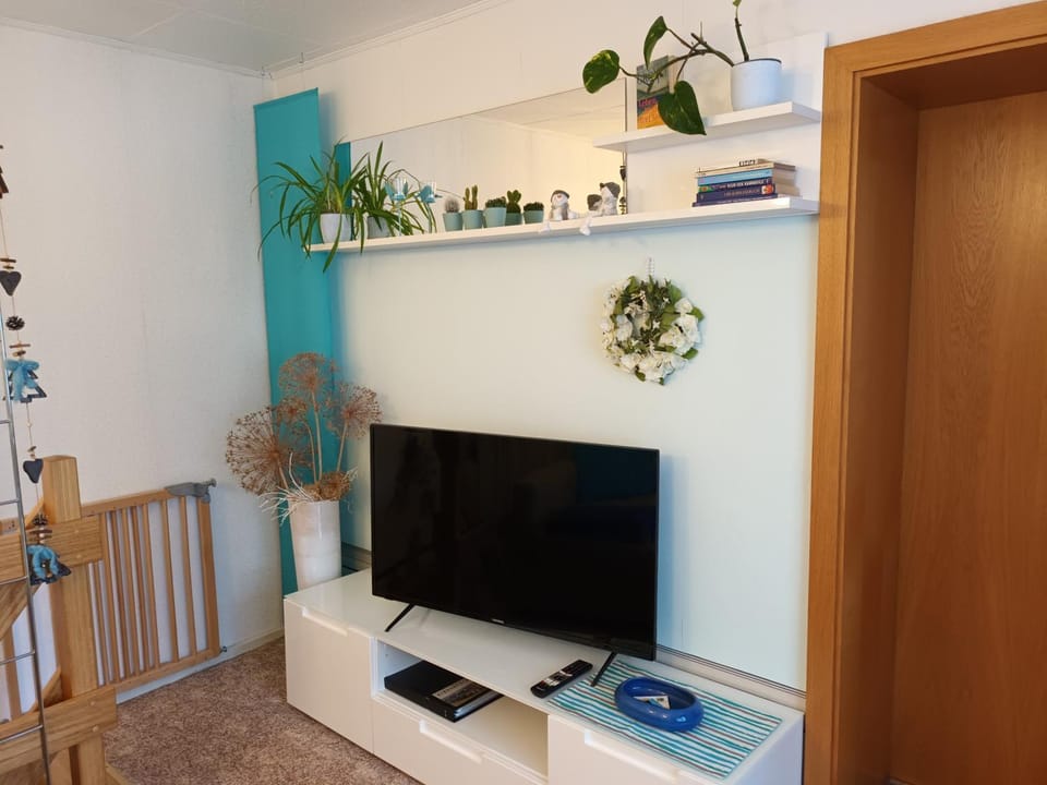 TV and multimedia