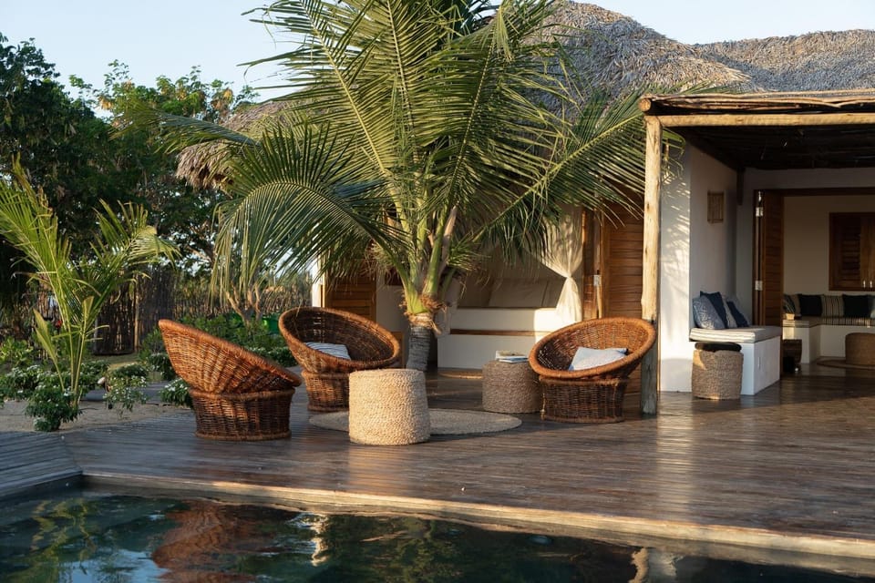 Patio, Natural landscape, Garden, Seating area