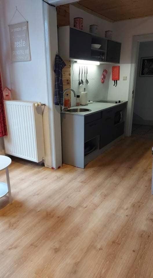 Le Rusticka Apartment in De Panne