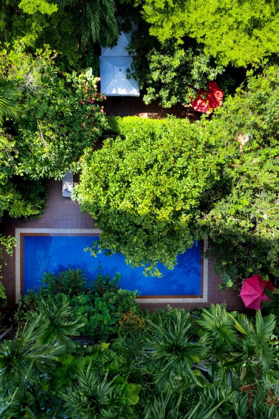 Day, Natural landscape, Garden, Garden view, Pool view, Swimming pool
