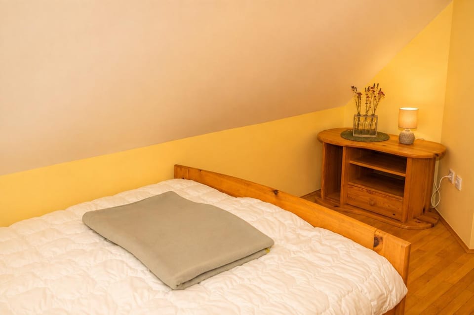 Apartma Smučka pod Roglo Apartment in Slovenia