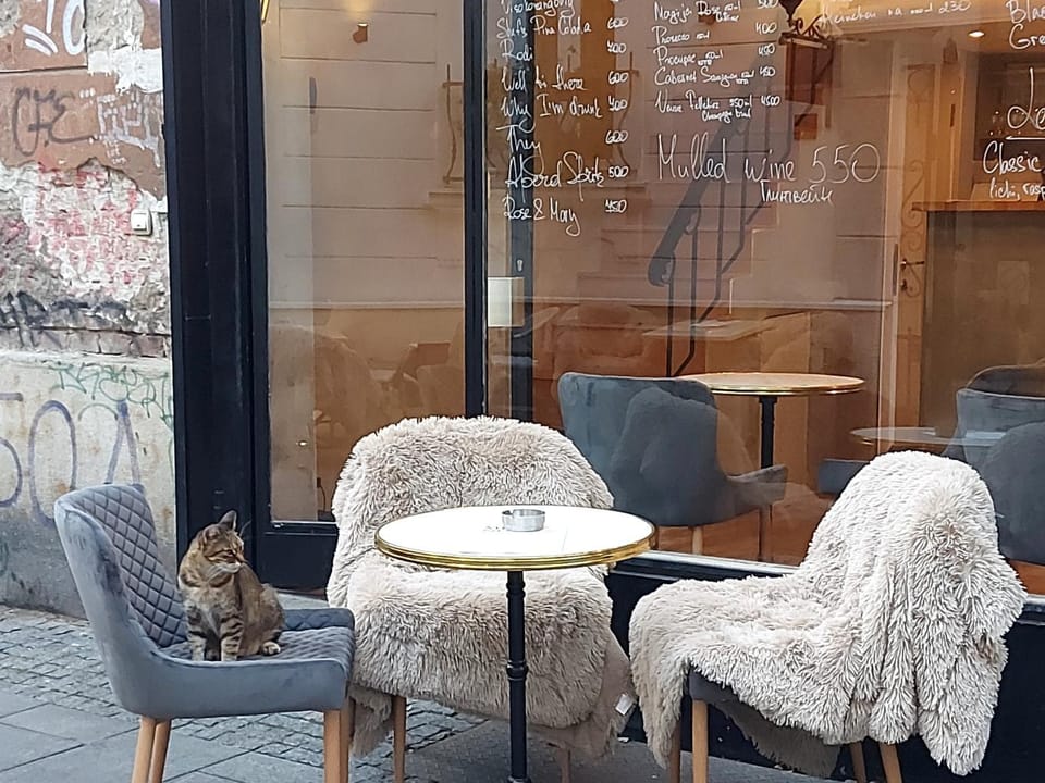 Seating area, Pets