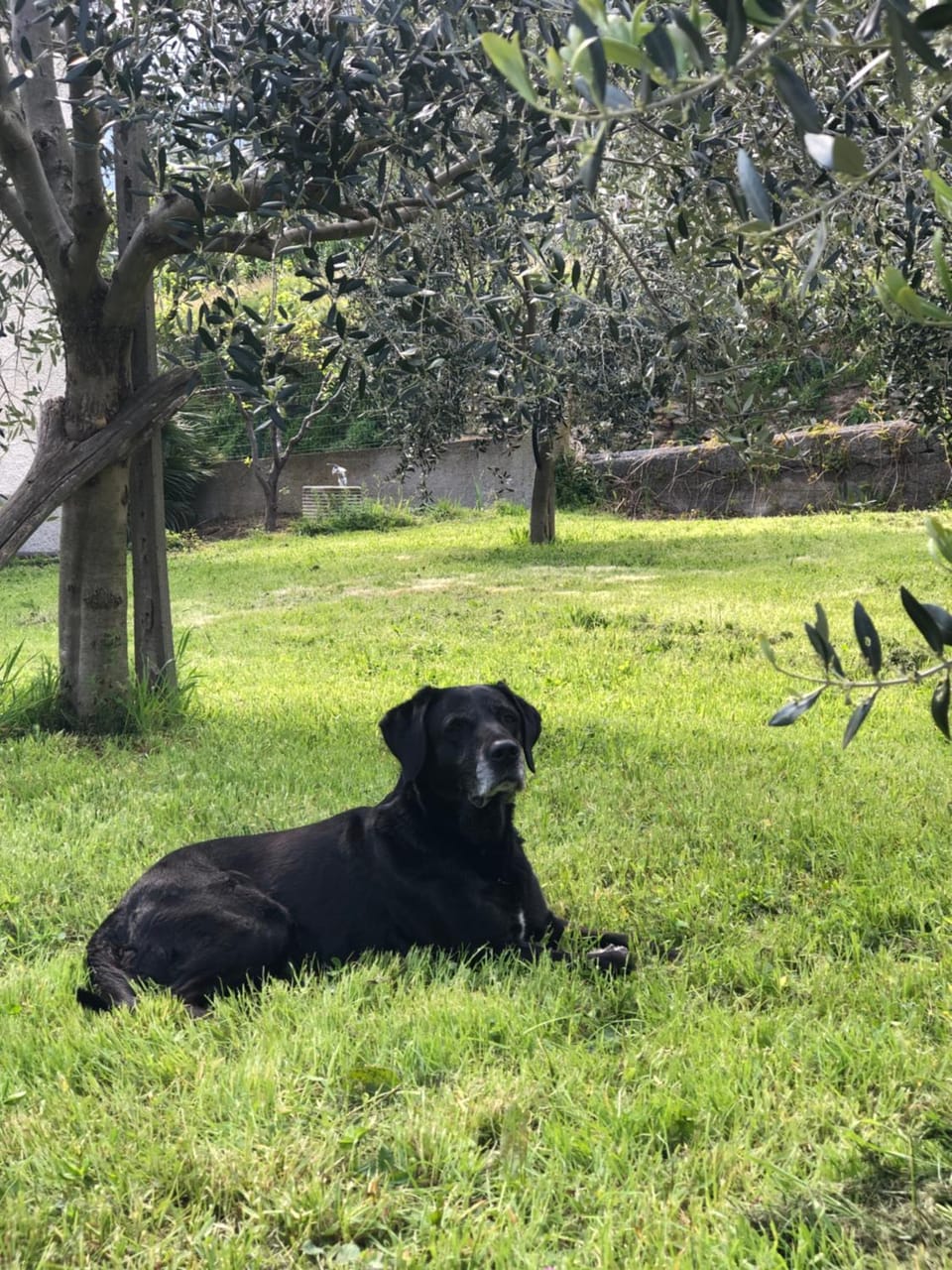 Bed and breakfast Ca du 5 Bed and Breakfast in Liguria