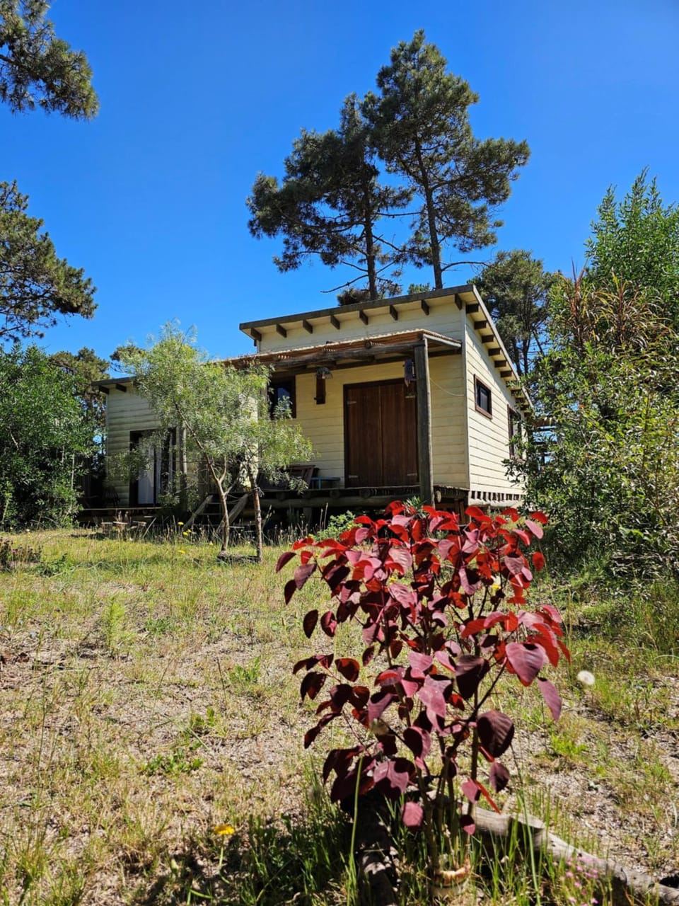 DiaBro's Nature lodge in Rocha Department, Uruguay