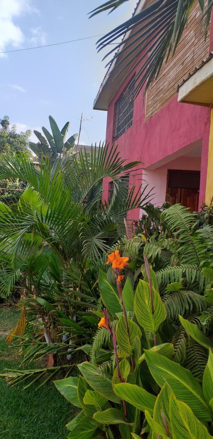 Property building, Garden