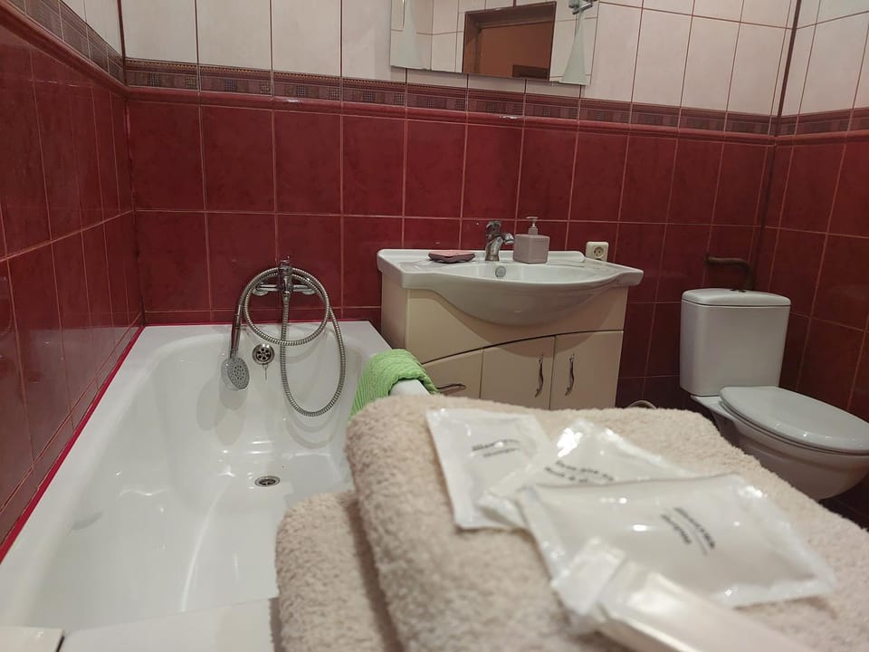 Однокімнатна біля автостанції, вулиця Зацепи Apartment in Ukraine