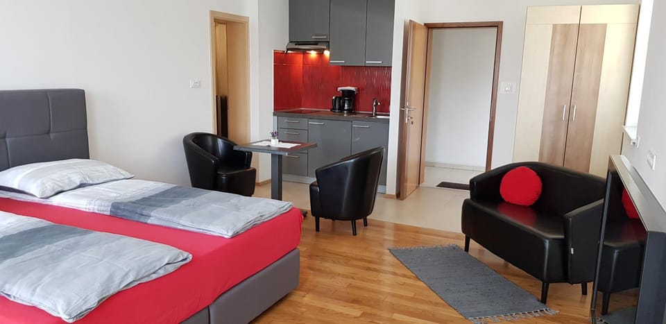 Vila Ema Apartments and Rooms Apartment in Ljubljana