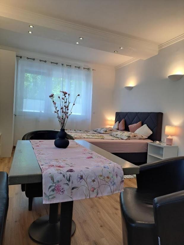 Vila Ema Apartments and Rooms Apartment in Ljubljana
