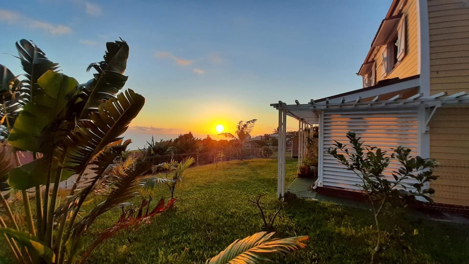 Garden view, Sunset